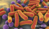 bacterias