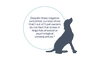 Despite these negative outcomes, surveys show that 1 out of 5 pet owners do not feel that stress in dogs has physical or psychological consequences