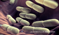 purina-institute-nrm-lactobacillus