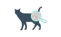 猫放大图标