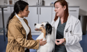 El dueño de un perro con su mascota en una consulta con el veterinario en una clínica.