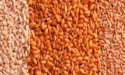 cereali di colori diversi