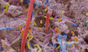 oral bacteria