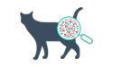 cat magnifying icon