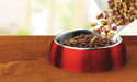 dry kibble filling a pet bowl