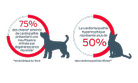 75 % des chiens atteints de maladie cardiaque ont une MMVD et plus de 50 % présentent une CMH