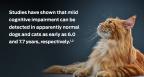 purina-institute-mild-cognitive-impairment