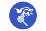 gut microbiome icon