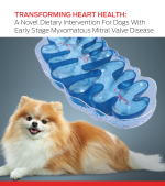 犬早期 mmvd 的新型膳食干预