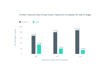 Protein reduces loss of LBM and increases fat loss in dogs. This chart shows percentage of loss (body fat and Lean body mass) vs % of dietary protien in diet. 20% dietary protein showed a loss of 3350g of body fat and 1700g of LBM. 30% dietary protein showed a loss of 3420g of body fat and 900g of LBM. 39% dietary protein showed a loss of 3800g of body fat and 700g of LBM.