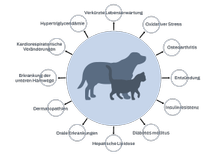 Geringere Lebenserwartung, oxidativer Stress, Osteoarthritis, Entzündung, Insulinresistenz, Diabetes mellitus, hepatische Lipidose, orale Erkrankungen, Dermatopathien, Erkrankungen des unteren Harntrakts, kardiorespiratorische Veränderungen, Hypertriglyceridämie.