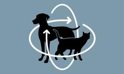 Strumento 3D Body Condition Score