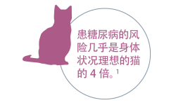 罹患糖尿病的风险更高,为理想身体状况下的猫的近 4 倍。