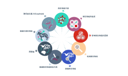 微生物群落基础图示