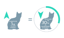 1 kg de aumento do peso corporal=30% de redução na sensibilidade à insulina