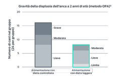 Tabella della gravità della displasia dell'anca. Due gruppi di 24 cani: un gruppo di controllo e un gruppo nutrito con dieta leggera; record del numero di cani che mostrano qualsiasi segno di displasia dell'anca. Gruppo di controllo: lieve, 7; moderato, 5; grave, 5. Totale controllo, 17 cani su 24. Gruppo con dieta leggera: lieve, 2; moderato, 4; grave, 3. Totale dieta leggera, 9 cani su 24.