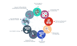 Icônes notions de base sur le microbiome