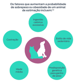Os fatores que aumentam a probabilidade de sobrepeso ou obesidade de um animal de estimação incluem: 1,2. Idade, castrações, ingestão excessiva de calorias, estilo de vida sedentário, predisposição genética para ganhar peso.