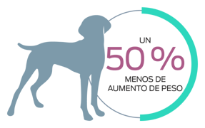 Aumento de peso un 50 % menor