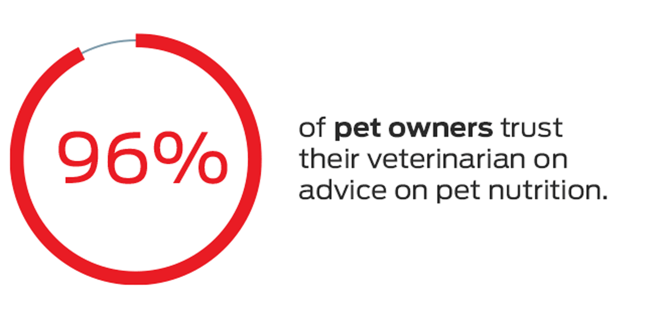 Why Join Our Community Animated Stats