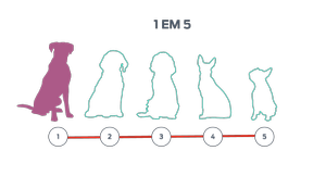 Uma linha de contorno de cinco cães, um desses contornos é preenchido.