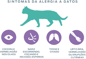 neutralizando-alergênios-sintomas-de-alergias-a-gatos