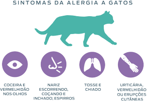 sintomas de alergias a gatos