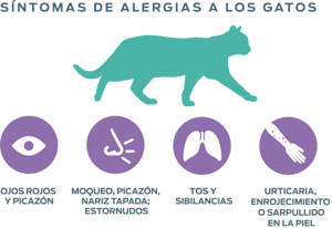 síntomas de alergias a los gatos