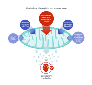 grafico degli acidi grassi
