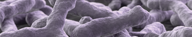 purina-istituto-nrm-bifidobacterium