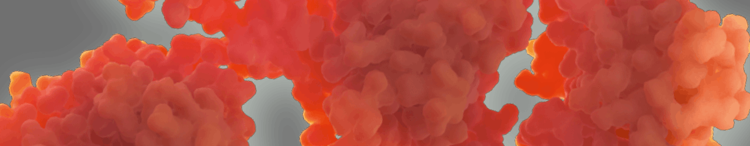 immunité-colostrum
