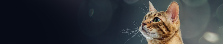 neutralizing allergens purina research