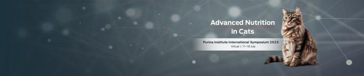 PI International Symposium