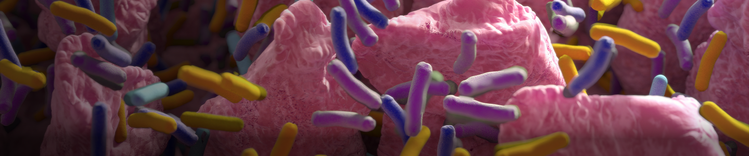 intestinal villi with bacteria