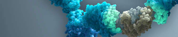 the breakthrough hero