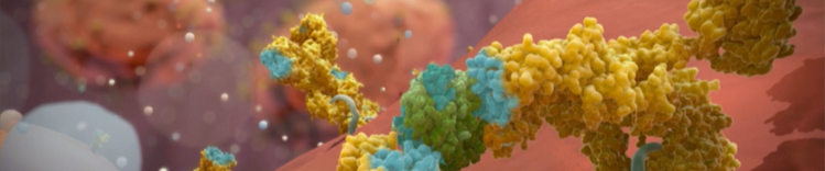 allergic burden hero