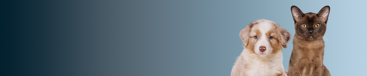 Welpen und Katzenjungen