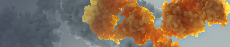 purina-instituto-colores