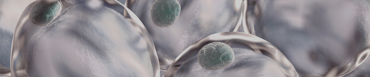 Banner „Gesundes Gewicht halten“