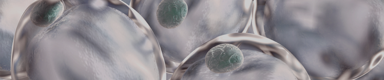 Manejar un banner de peso saludable