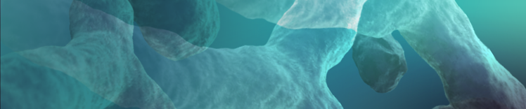 嘌呤核型非复制微生物