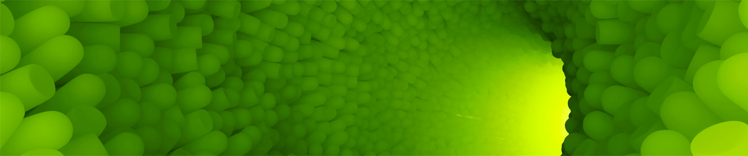 Promover la salud gastrointestinal