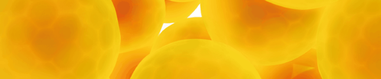 Weight-Related Conditions - Banner