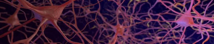 far avanzare il cervello