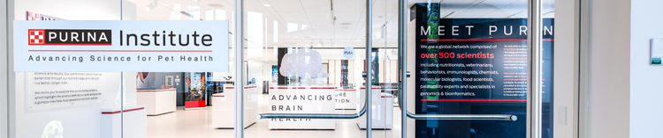 Herói de Exposição Virtual