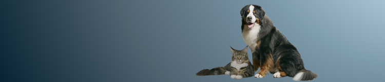 Ciencia de la Nutrición