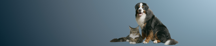 scienza della nutrizione