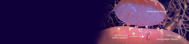 presynaptic neuron, mcfas block ampa receptor, postsynaptic neuron