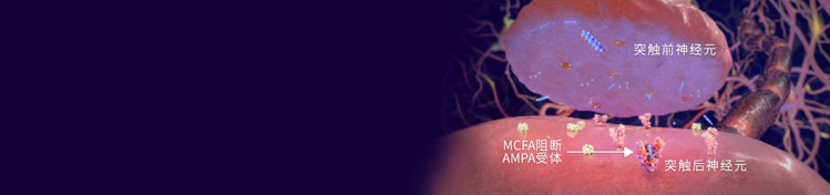 突触前神经元, mcfas 阻断 ampa 受体, 突触后神经元