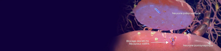 neurone présynaptique, mcfas bloque le récepteur ampa, neurone postsynaptique
